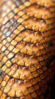 A close up of a snake skin photo