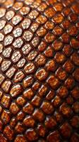 A close up of a snake skin photo