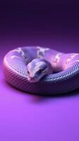A purple snake on a purple background photo