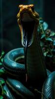 A snake with its mouth open and its mouth open photo