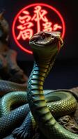 A cobra with its mouth open and its head facing the camera photo
