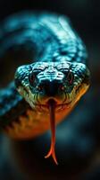 A close up of a snake's head photo