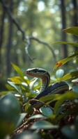 A snake is sitting in the middle of the forest photo