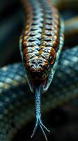 A snake with its mouth open and its tongue out photo