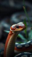 A close up of a snake with its head turned to the side photo