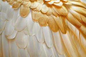 Pattern of golden and white bird feathers creating a beautiful soft texture photo