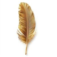 Golden feather symbolizing luxury, wealth, and elegance on white background photo