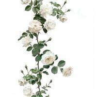 White roses blooming on a thorny vine with green leaves photo