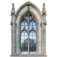 Gothic window reflecting a tree in a medieval building photo