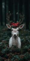 White deer with red rose crown in forest photo