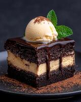 Delicious chocolate cake with vanilla ice cream and mint photo