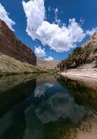Oasis reflecting in calm water, surrounded by desert mountains and palm trees photo