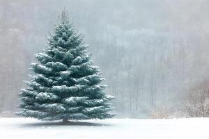 Winter Serenity Snow-Covered Evergreen Tree in a Tranquil Forest Landscape photo