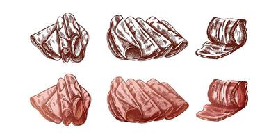 Hand drawn sketch of pork meat ham and prosciutto vector
