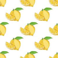 Seamless lemon pattern. A flowering plant with a single leaf. A slice of lemon and a lemon. Citrus. Lemon, lime. Great for a poster, menu or label. vector