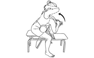 Seated Back Stretch Exercise Illustration Improve Spine Flexibility and Posture vector