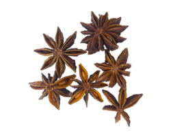 Close-up of star anise without background. A spice with star anise and a rich flavor. Badian. For cooking blogs, recipes, articles about spices and spices, and in materials related to natural ingredie png