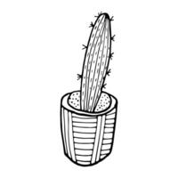 Cactus in a pot in doodle style on an isolated white background. vector