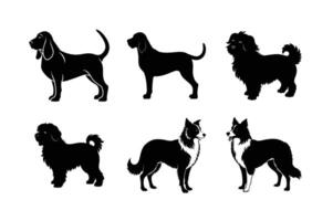 Detailed dog breed silhouettes showcasing movement and stance vector