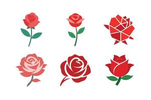 Colorful rose bundle design on white background vector