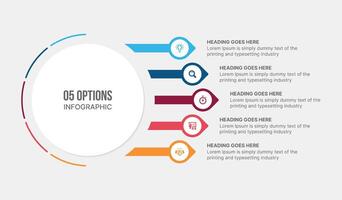 Circle Infographic Template Design with Five Steps Options vector