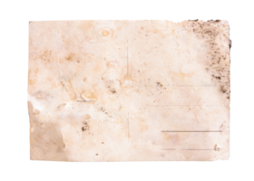 Isolated back side of an old postcard, almost destroyed, worn and faded, with lots of blank space to fill with your content. png