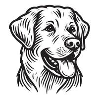The word cocker spaniel is displayed beside a black and white image of a dog. vector