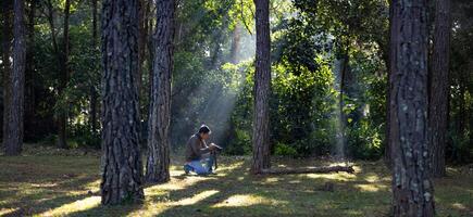 Photographer is taking photo while exploring in pine forest for with strong ray of sun light inside the misty pine forest for photography