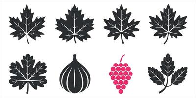 Different Type Of Leaf Icon Set. vector
