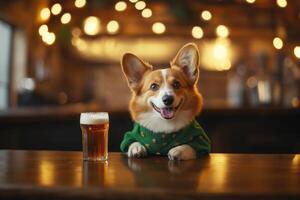 Corgi wearing a festive green sweater in bar photo