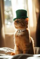 A ginger cat wearing a green hat photo