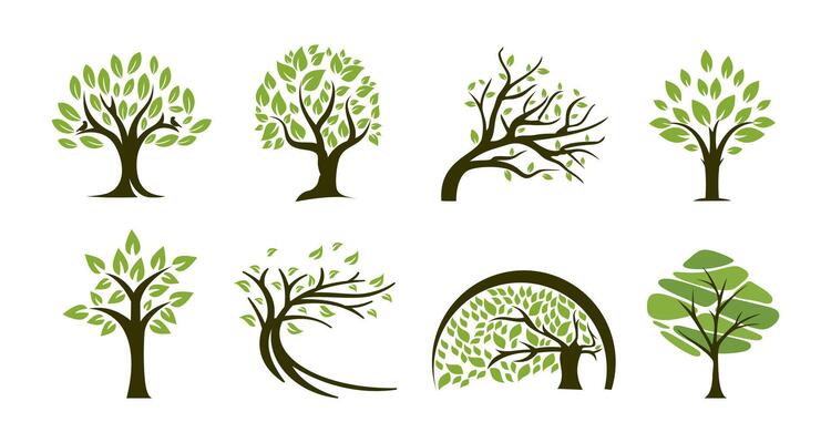 Set of Tree icon logo oak leaf leaves abstract design graphic