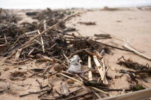Dead rat with dry twigs on sandy beach during daytime photo
