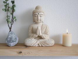 serene altar featuring Buddha statue, candle, and plant photo