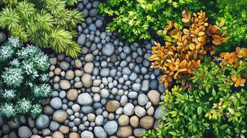 Top View of Pebble Garden Path with Lush Green and Orange Plants photo