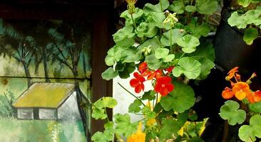 Painting of a house with a barn and a tree in the background. A plant with red flowers is growing next to the painting photo
