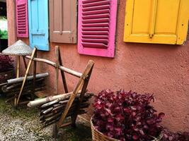 Colorful building with pink flowers plants. The building have multi color wooden window. photo