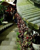 Group of people are walking down a stone staircase in front of a building with a green roof photo