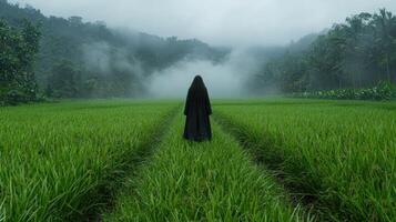 Person in black robe standing in a misty green field photo