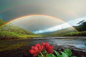 Rainbow over river and rainforest with red flowers photo