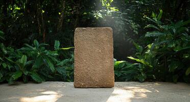 Stone slab in a lush green jungle setting photo