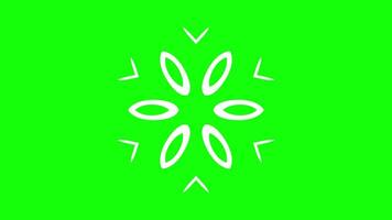 Floral-inspired abstract design with oval and triangular shapes video