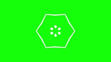 Hexagonal geometric pattern with inner petal shapes arranged symmetrically on green screen background video