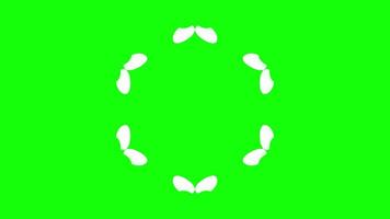 Circular pattern with abstract butterfly-like shapes video