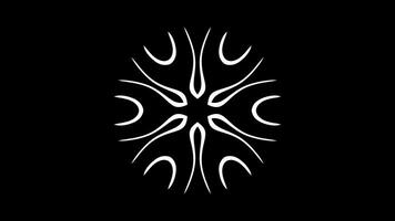 Abstract radial design with flame-like elongated shapes forming intricate patterns. Geometric animation featuring decorative symmetry and fluid contours video