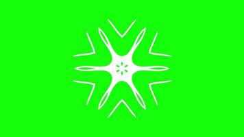 Abstract starburst design with elongated petal-like shapes and sharp outer patterns video