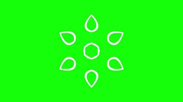Symmetrical petal shapes surrounding a hexagonal with geometric floral pattern video