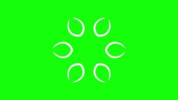 White petal shapes on green background. Abstract geometric animation with circular symmetry and minimalistic motion design video