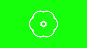 Flower-shaped geometric animation with smooth circular petals and hexagonal center video