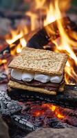 A s'mores is sitting on a fire with marshmallows photo